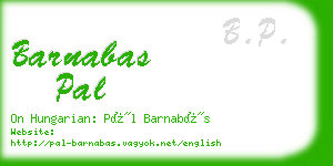 barnabas pal business card